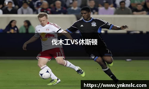 伐木工VS休斯顿